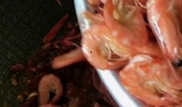 爆料八爪鱼做法视频教程,跟随视频教程轻松学会美味佳肴