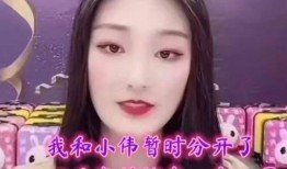 小陈夫妇被爆料视频,真相与争议