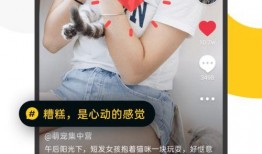 精彩小视频爆料下载,精彩瞬间背后的故事