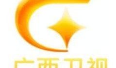广西卫视直播在线观看,实时掌握精彩瞬间，畅享视听盛宴