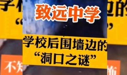 致远学校爆料事件视频大全,揭秘校园风云录