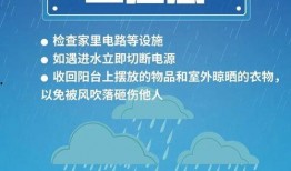 暴雨热点爆料新闻视频播放,现场惊心动魄