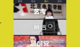 日本投票爆料视频下载,下载背后的真相与争议