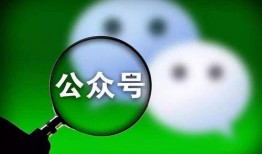 青田网红吃瓜群微信公众号,揭秘幕后故事，带你领略网络红人圈