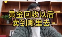 海哥爆料技能介绍视频,视频解析背后的秘密力量