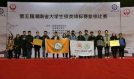 岳麓一小爆料新闻最新,校园生活新篇章