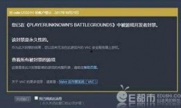 北辰哥哥爆料视频在线观看,揭秘幕后真相，带你走进事件核心