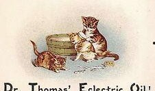 辛巴鸟窝事件最新爆料,最新爆料揭露惊人内幕