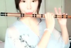 笛子姐姐爆料视频大全,揭秘幕后故事与精彩瞬间