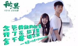 秘果电影在线观看免费,揭秘青春禁忌，探寻心灵成长之旅
