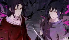 少年佐助爆料视频,揭秘忍者世界的秘密与真相