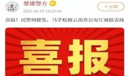云上新闻爆料是真是假啊,真相还是谣言？