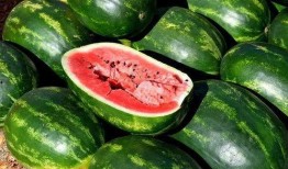 免费网红吃瓜神器下载,一键下载，畅享娱乐盛宴