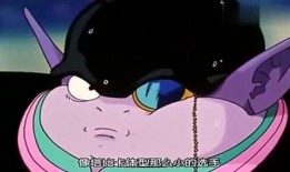 吃瓜娱乐小猫,小猫的吃瓜娱乐日记