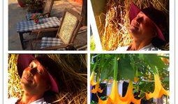 嫂子在线观看神马,揭秘热门剧集背后的故事