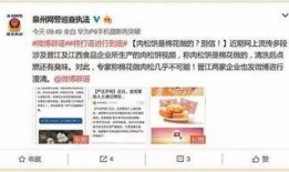 肉松饼爆料视频,揭秘网红食品背后的真相