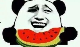 吃瓜群众最新爆料qq,QQ新动态，背后真相令人震惊！