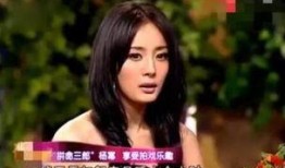 美岐绯闻爆料视频完整版,真相与谣言的交织