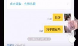 爆料怎么发短视频,爆料带你一探究竟