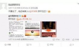 日本投票爆料视频下载,下载背后的真相与争议