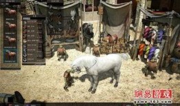 马黑爆料最新视频,事件真相与幕后黑手浮出水面