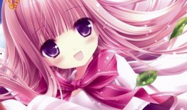 三少爆料动漫视频大全集,动漫视频大全集深度解析