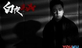 白夜追凶全集在线观看,揭秘黑白两道，正义与邪恶的较量