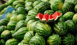 青田网红吃瓜群微信公众号,揭秘幕后故事，带你领略网络红人圈