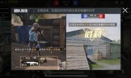 和平精英大瓜爆料视频婷姐,婷姐爆料大瓜，揭秘游戏幕后真相