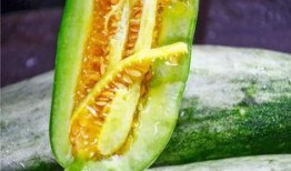 吃瓜的哪个网红,揭秘吃瓜网红的爆红之路