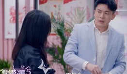 爱情公寓5在线观看免费,重温经典，免费在线观看，浪漫回忆再续前缘