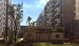 央视爆料偷钱案件最新情况,涉案人员落网，案情细节披露