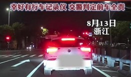红绿灯女孩爆料视频大全,揭秘社会现象背后的真相