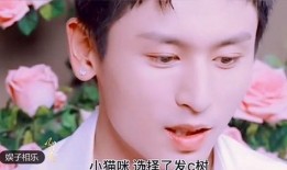鄂州父女爆料视频大全集,揭秘事件真相与情感纠葛