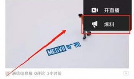 爆料视频等级多少钱一个,爆料视频价格揭秘，等级不同价格竟相差如此悬殊！