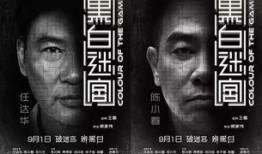 电影黑白迷宫在线观看,揭秘犯罪世界的隐秘角落