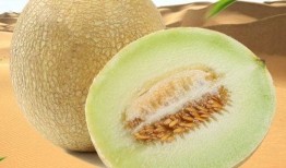 网红冰淇淋蜜瓜怎么吃的,夏日清凉新吃法大揭秘