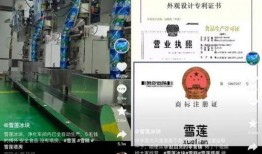 爆料雪莲视频大全集免费观看,揭秘神秘内容，带你领略视觉盛宴