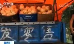 嘎嘎吃瓜小说免费阅读,揭秘小说世界里的甜蜜诱惑