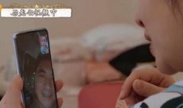 秦海璐爆料杨紫视频播放,揭秘娱乐圈幕后真相