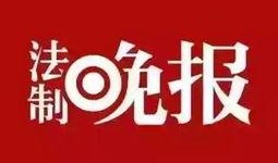 729爆料新闻,揭秘娱乐圈幕后真相