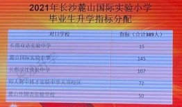 岳麓一小爆料新闻最新,校园生活新篇章