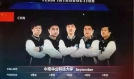 中乔最新爆料新闻,揭秘行业内幕，独家新闻深度解析