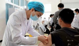颍上新冠病毒最新爆料,追踪变异株传播与防控措施升级