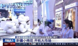 爆料新疆服装厂事件视频,揭露残酷劳动现实