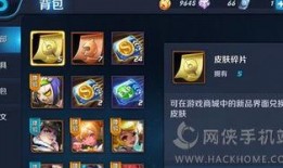 王者碎片爆料怎么弄的视频,轻松掌握视频生成技巧