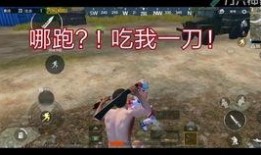 小宝爆料和平精英视频,揭秘和平精英幕后精彩瞬间