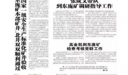 老年退伍兵爆料新闻稿件,晚年生活困境与政策呼声