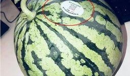 太古里网红吃瓜,揭秘网红圈背后的故事