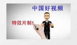 幽默爆料视频短片素材下载,笑料横生！揭秘幽默爆料短视频背后的下载狂潮